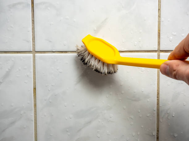 Best Fast Mold Removal  in Bayshore Gardens, FL